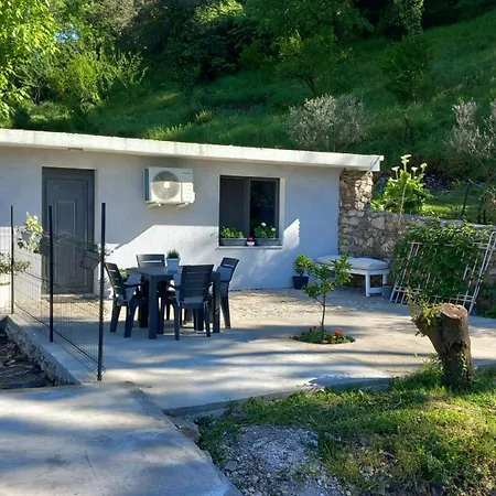 Tiny At The Castle * Shkodër