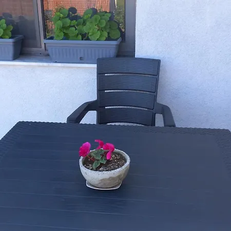 Tiny At The Castle Shkodra