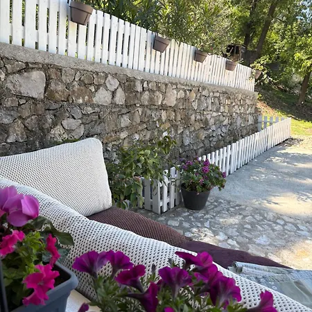 Tiny At The Castle Σκόδρα