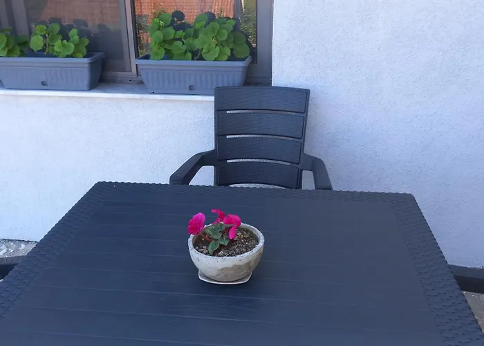 Tiny At The Castle Shkodra